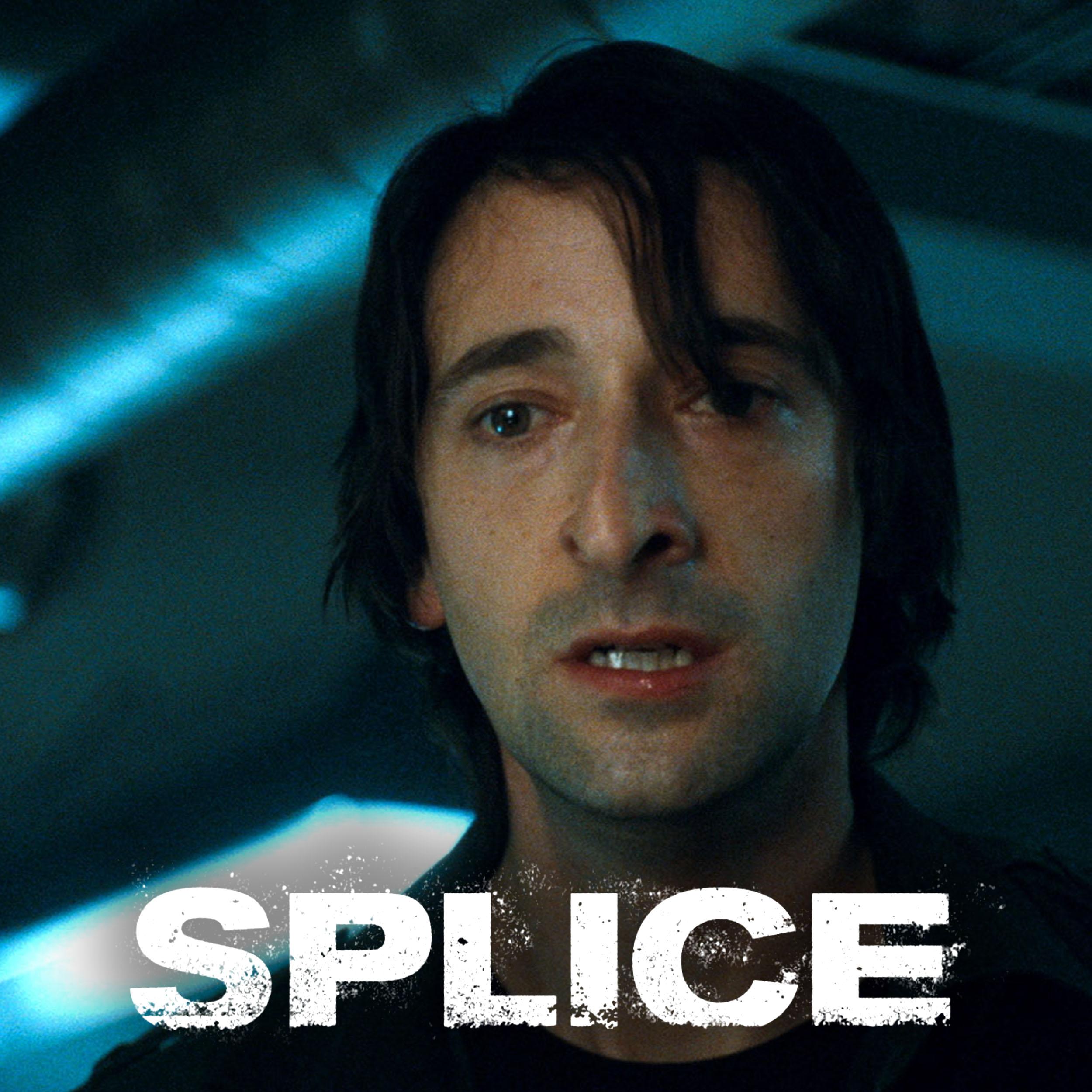 splice